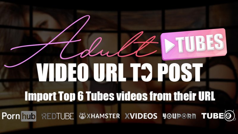 Adult Wordpress Plugins to grab Porn Tubes/Xbiz Sponsors Videos